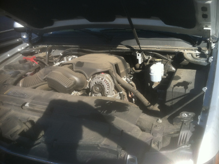 Engine Cleaning services by West Coast Detailing